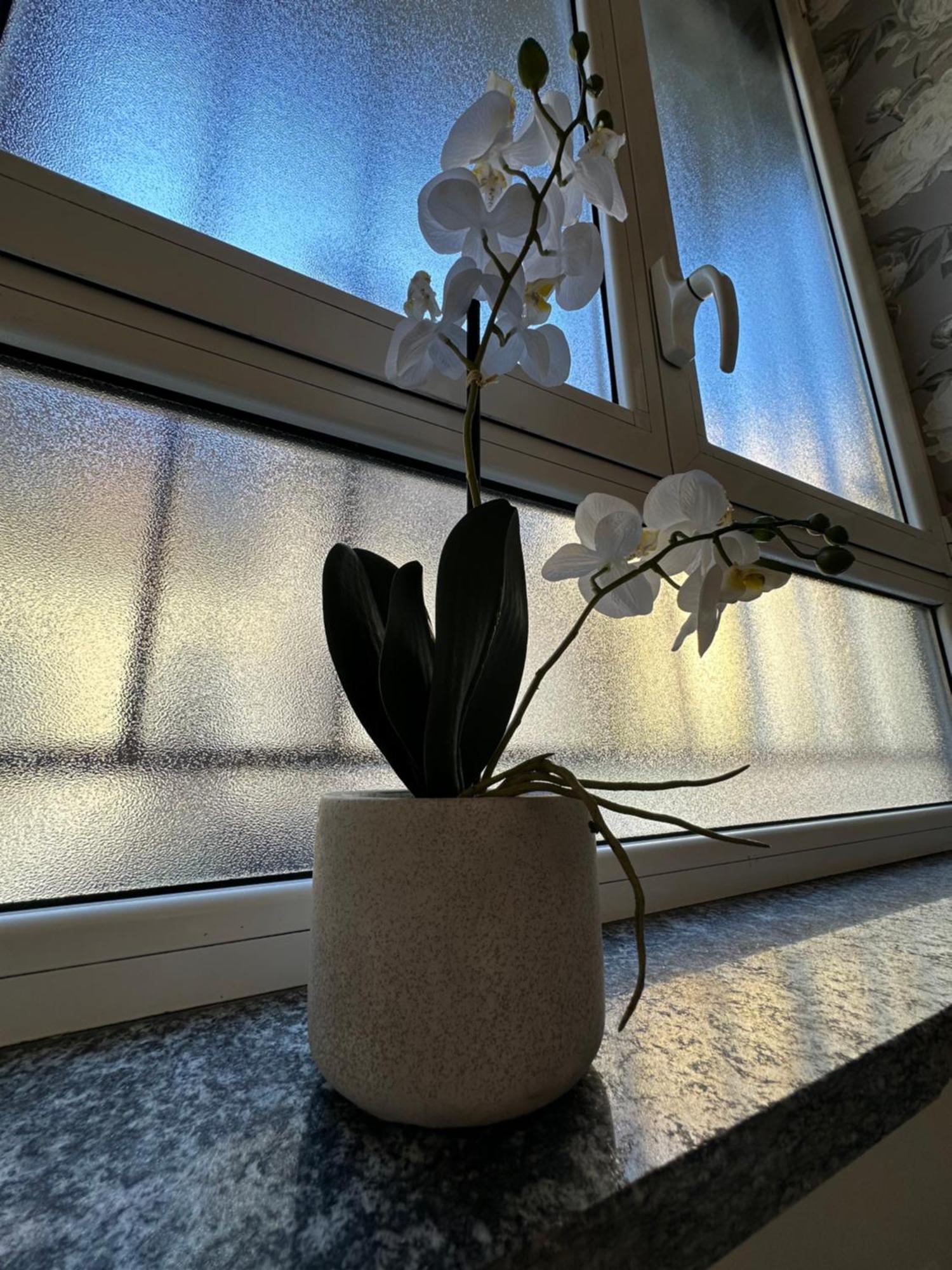 Flowers, A Cozy Suite In Milan Exterior photo